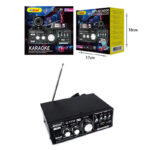 Andowl Τελικός Ενισχυτής Hi-Fi Stereo Q-T110 Max - Karaoke Reverberation Power Amplifier - Image 7