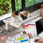 Κρεμαστή Αιώρα για Γάτες Hamacat InnovaGoods - Image 10