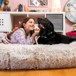 Κρεβάτι Σκύλου για Ανθρώπους | Human Dog Bed XXL InnovaGoods Beige - Image 14