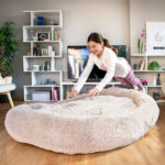 Κρεβάτι Σκύλου για Ανθρώπους | Human Dog Bed XXL InnovaGoods Beige - Image 11