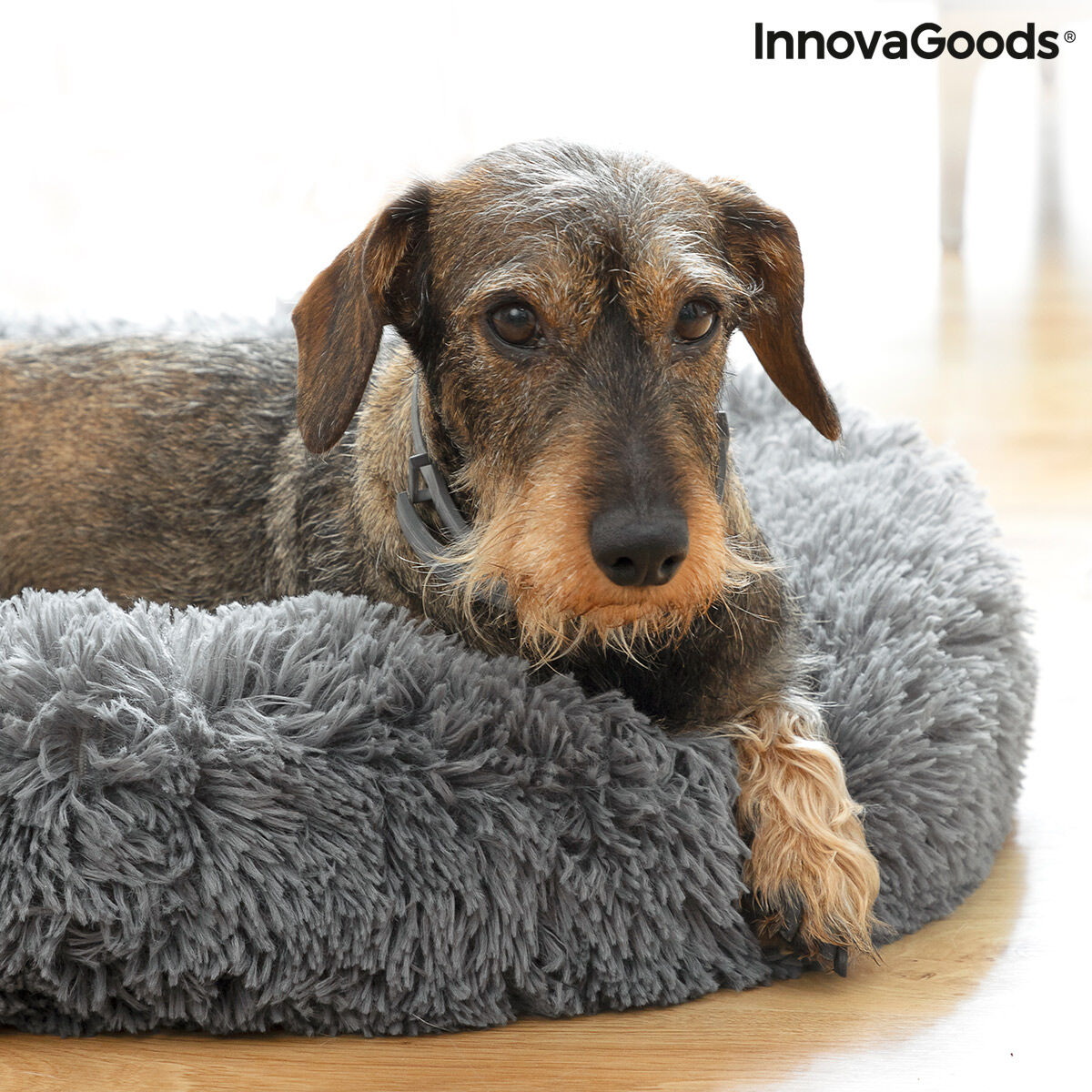 Κρεβάτι Κατά του Στρες Κατοικίδιων Ζώων Bepess InnovaGoods Ø 60 cm - Image 10