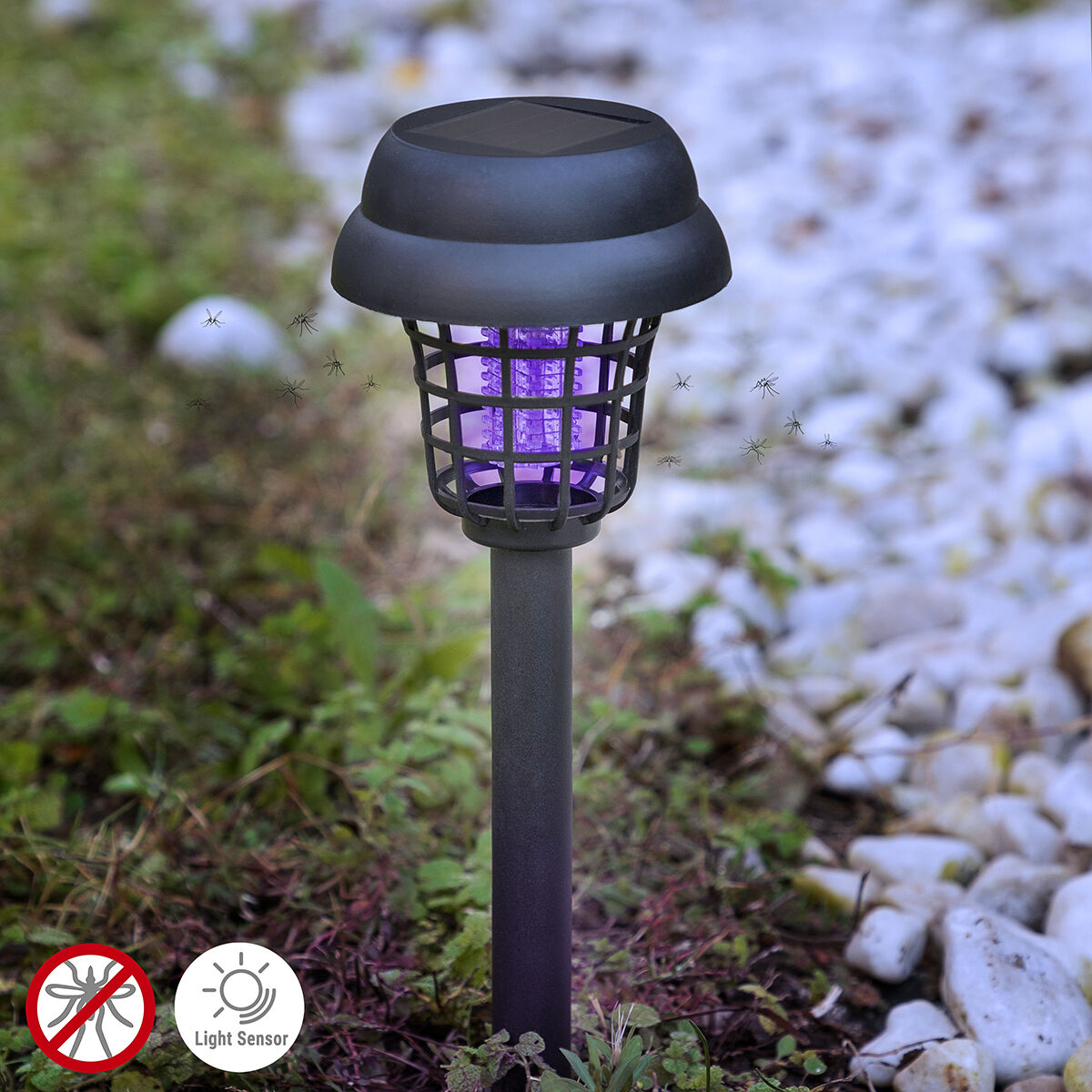 Ηλιακή Αντικουνουπική Λάμπα Κήπου Garlam InnovaGoods - Image 1