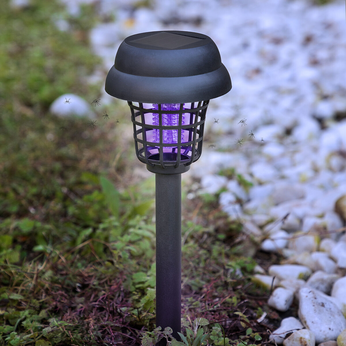 Ηλιακή Αντικουνουπική Λάμπα Κήπου Garlam InnovaGoods - Image 13